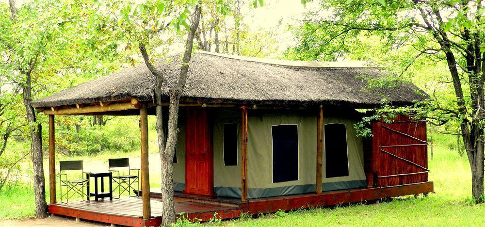 Shindzela Tented Camp Timbavati viltreservat Exteriör bild