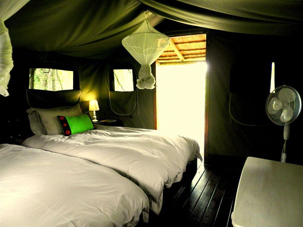 Shindzela Tented Camp Timbavati viltreservat Exteriör bild