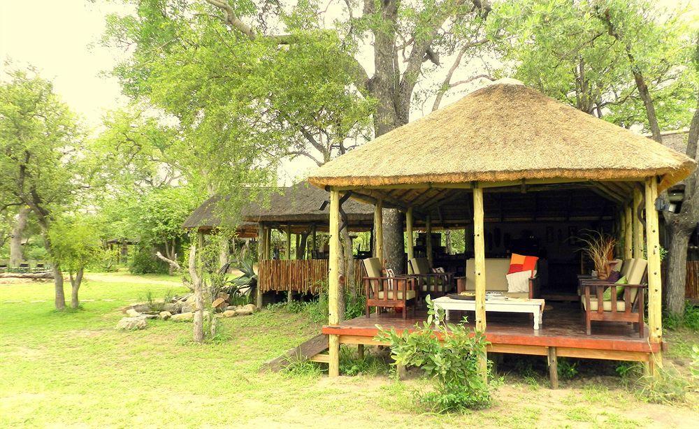 Shindzela Tented Camp Timbavati viltreservat Exteriör bild