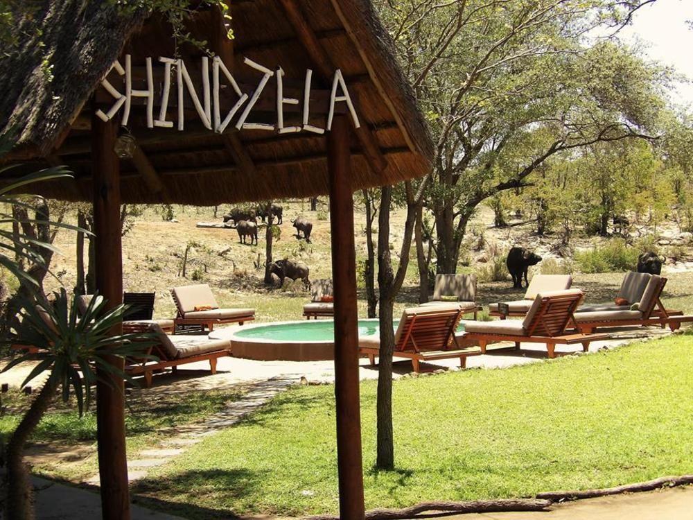 Shindzela Tented Camp Timbavati viltreservat Exteriör bild