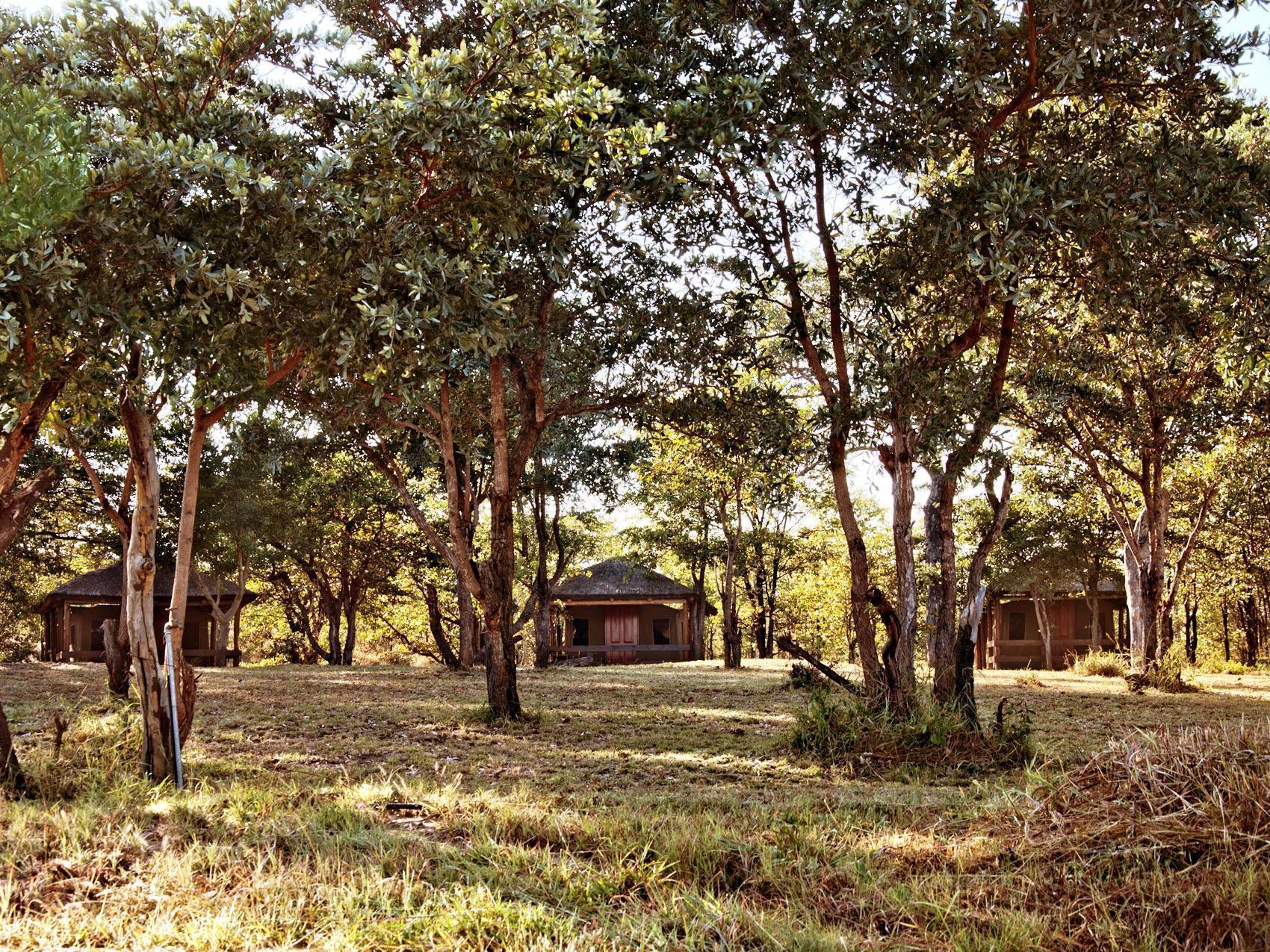 Shindzela Tented Camp Timbavati viltreservat Exteriör bild