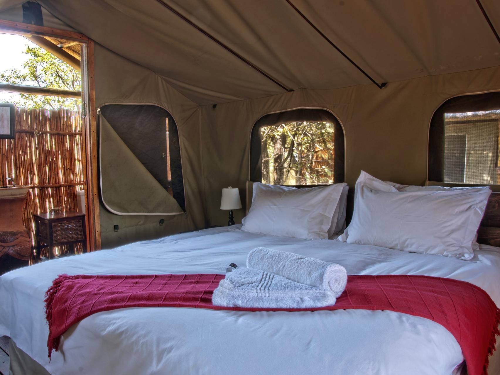 Shindzela Tented Camp Timbavati viltreservat Exteriör bild