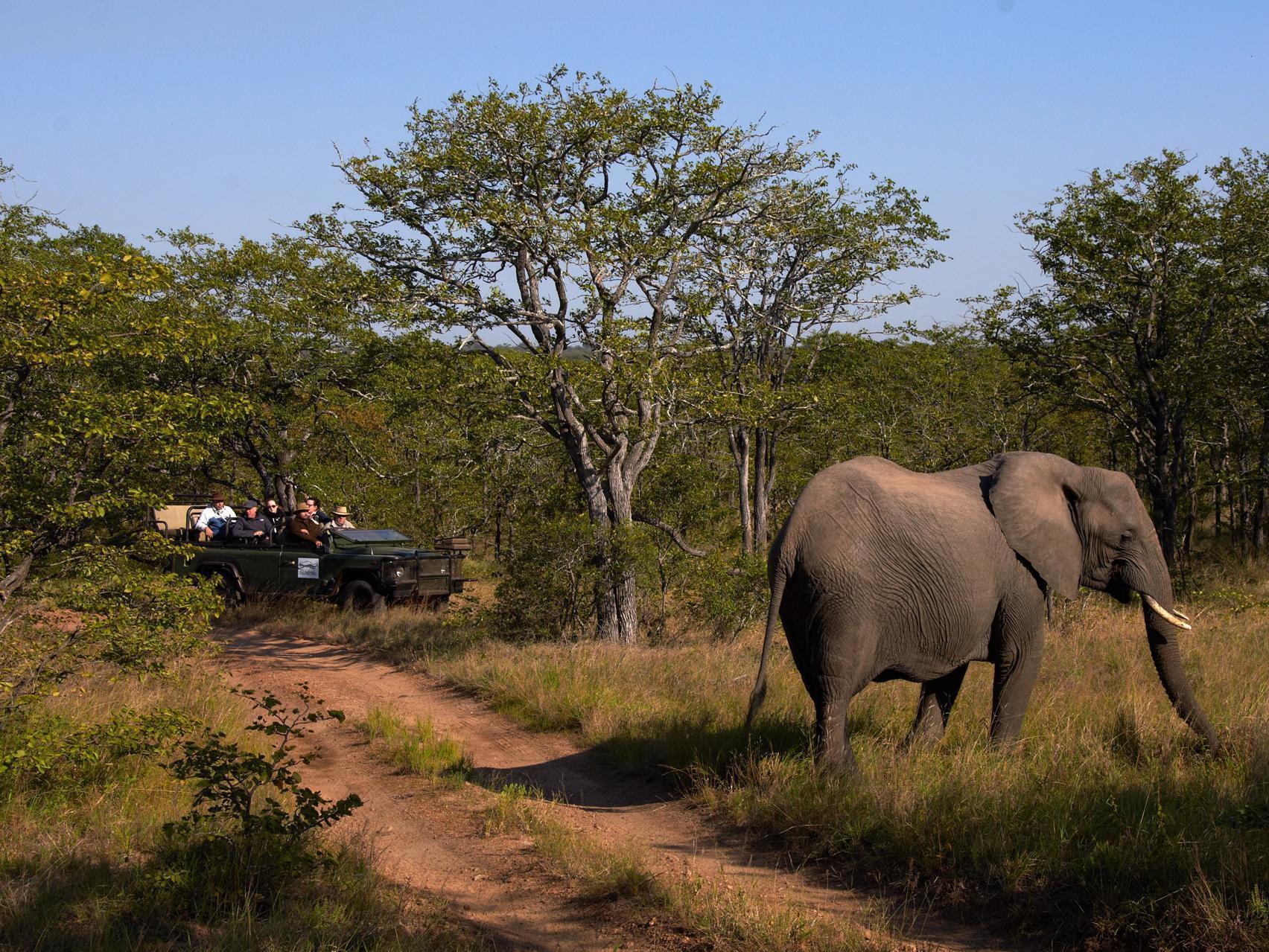 Shindzela Tented Camp Timbavati viltreservat Exteriör bild