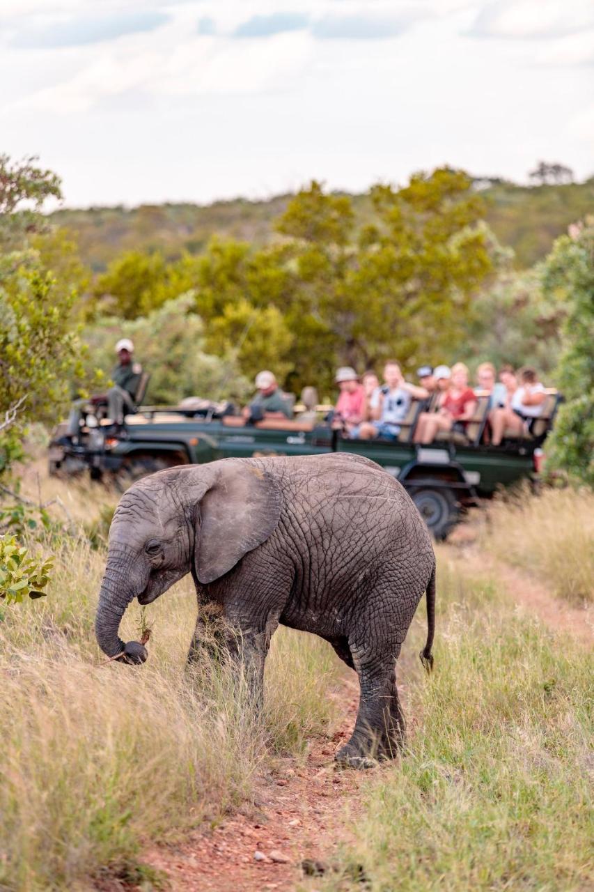 Shindzela Tented Camp Timbavati viltreservat Exteriör bild