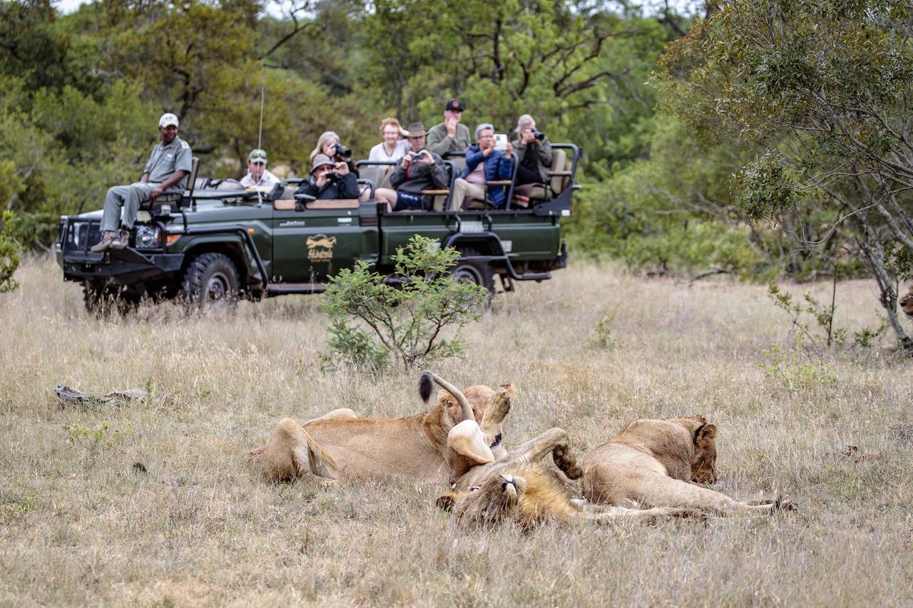 Shindzela Tented Camp Timbavati viltreservat Exteriör bild