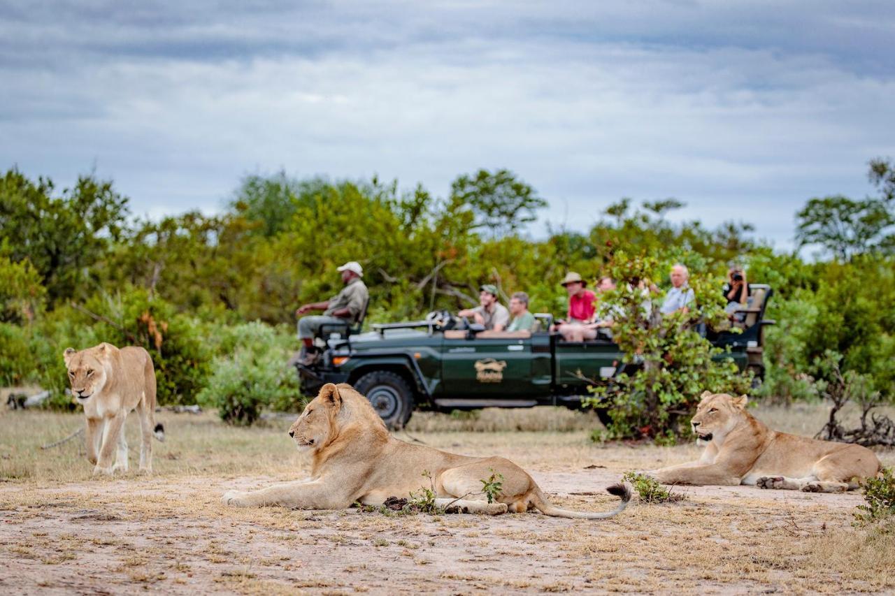Shindzela Tented Camp Timbavati viltreservat Exteriör bild