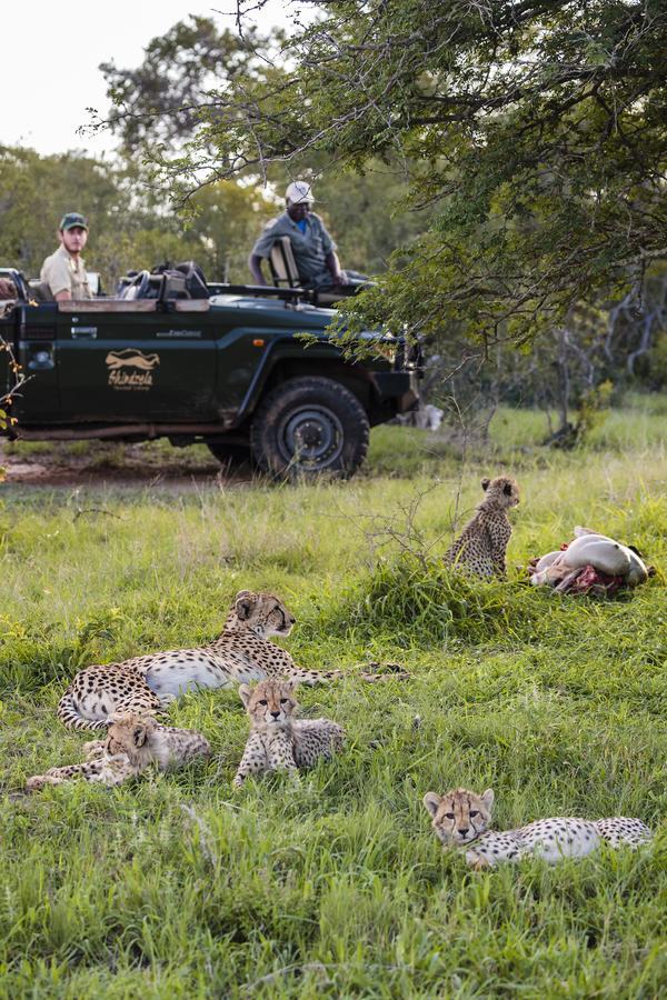 Shindzela Tented Camp Timbavati viltreservat Exteriör bild