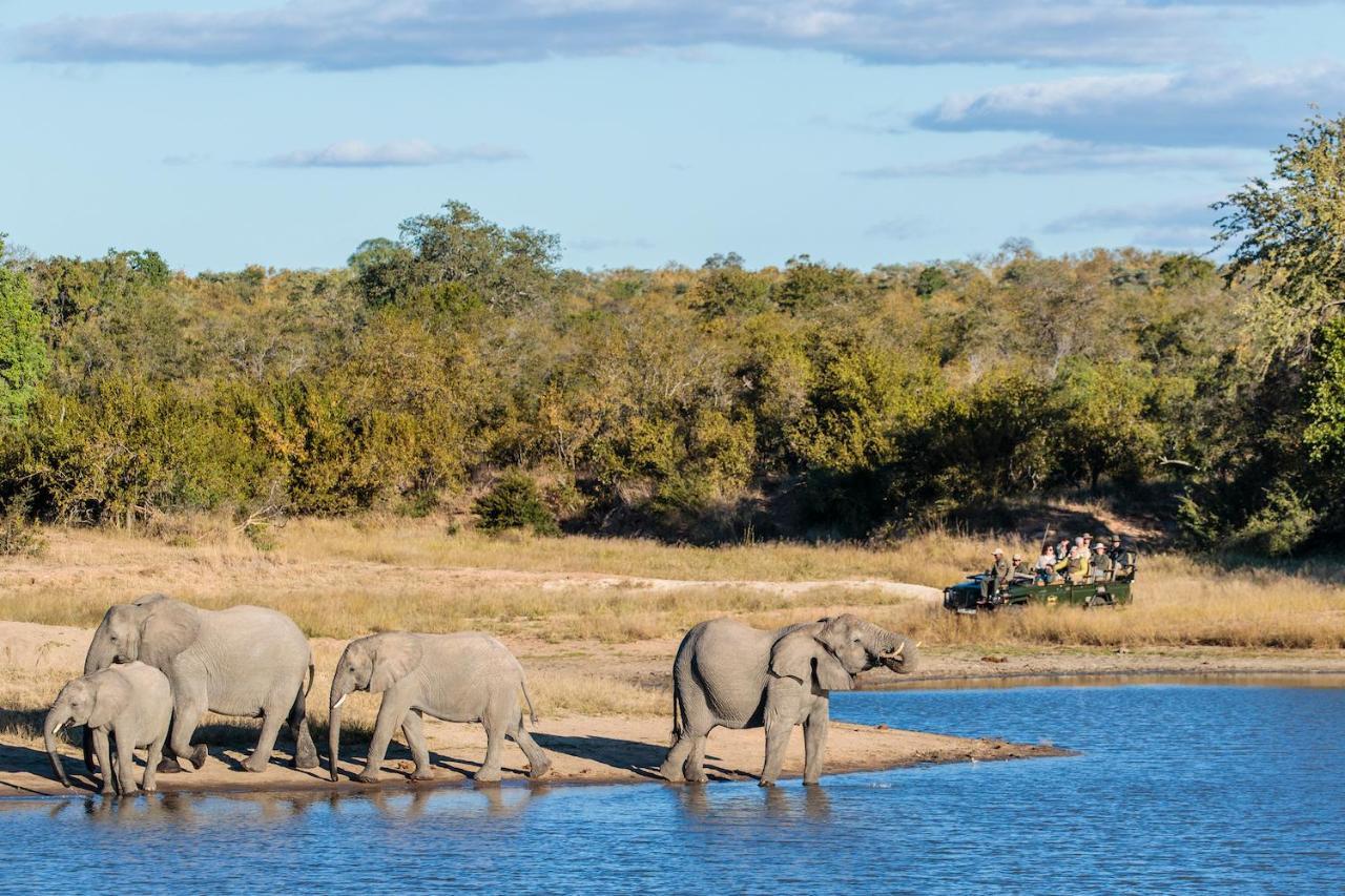 Shindzela Tented Camp Timbavati viltreservat Exteriör bild