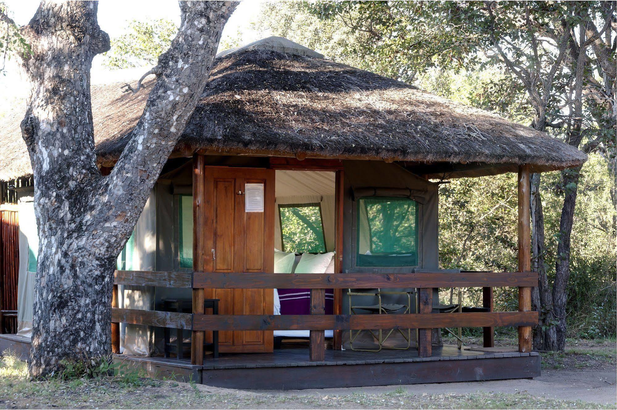 Shindzela Tented Camp Timbavati viltreservat Exteriör bild