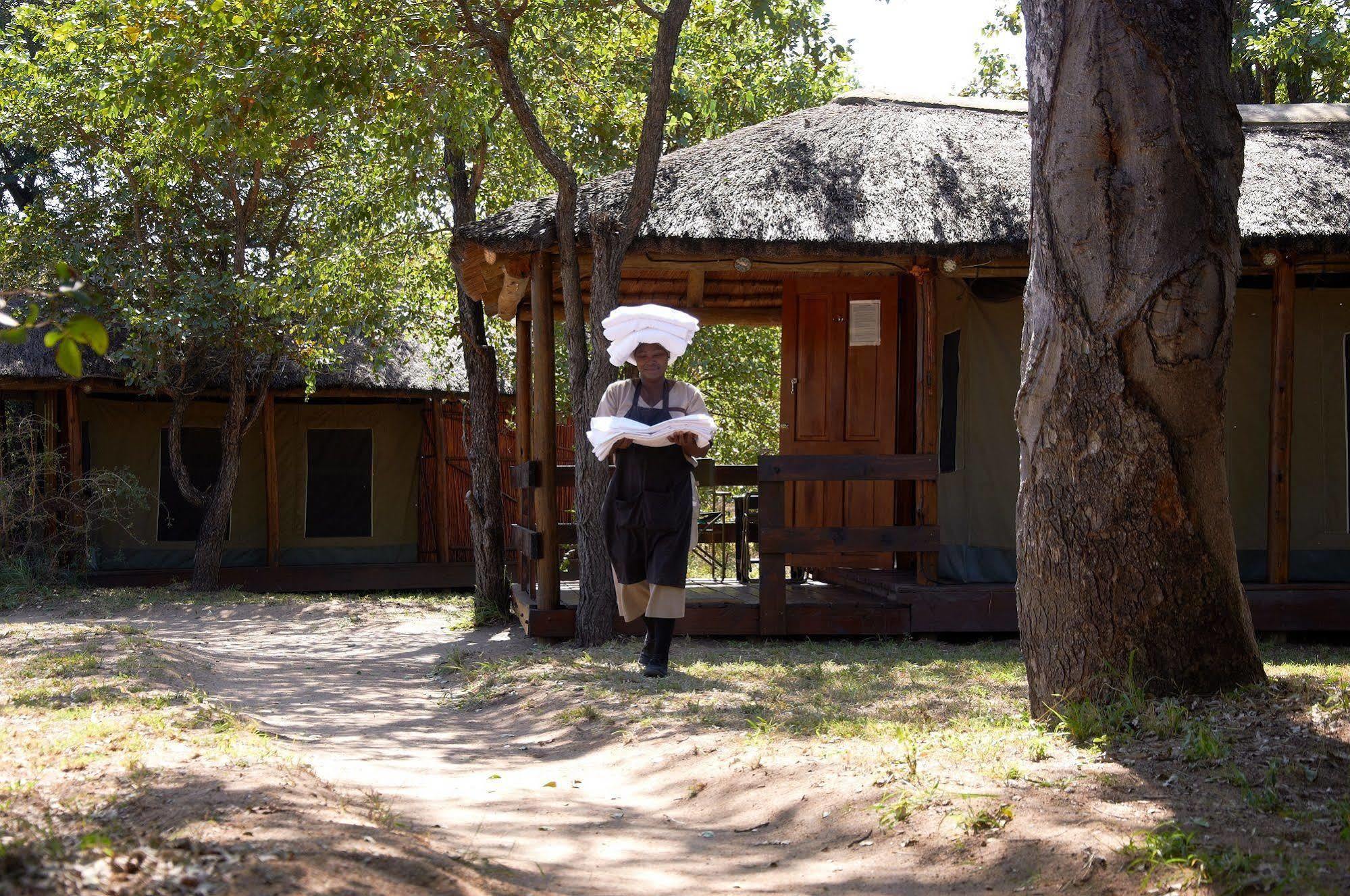 Shindzela Tented Camp Timbavati viltreservat Exteriör bild