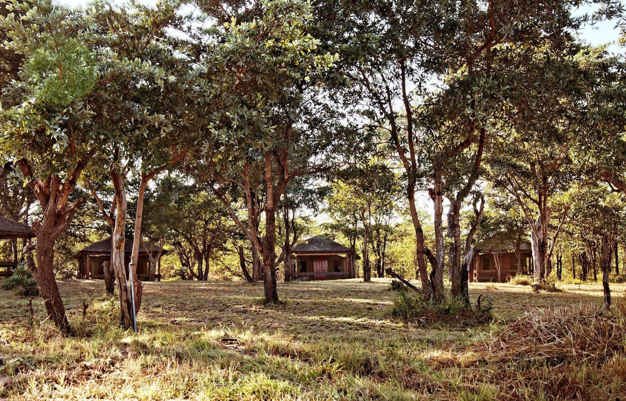 Shindzela Tented Camp Timbavati viltreservat Exteriör bild