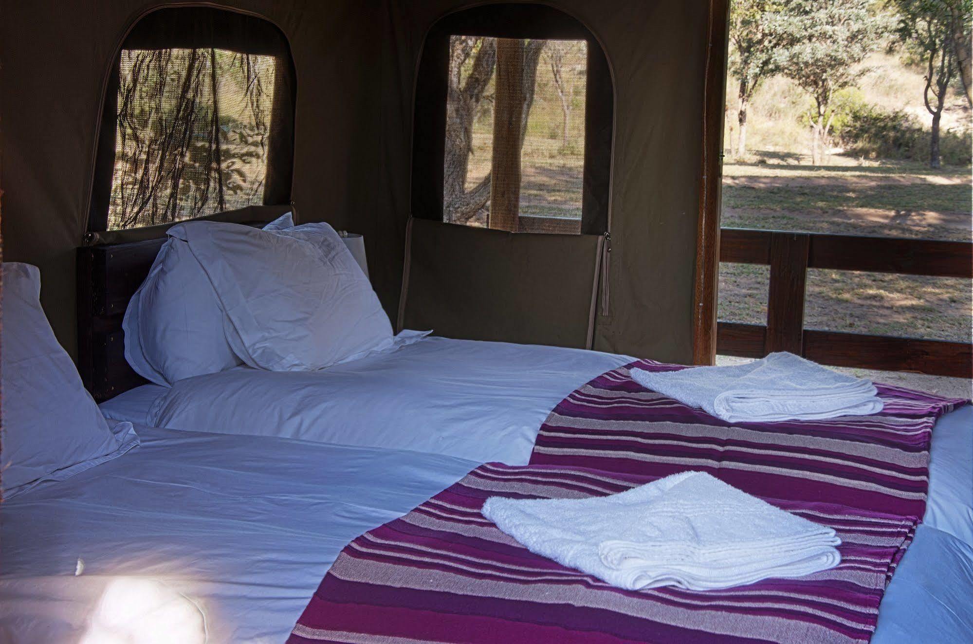 Shindzela Tented Camp Timbavati viltreservat Exteriör bild