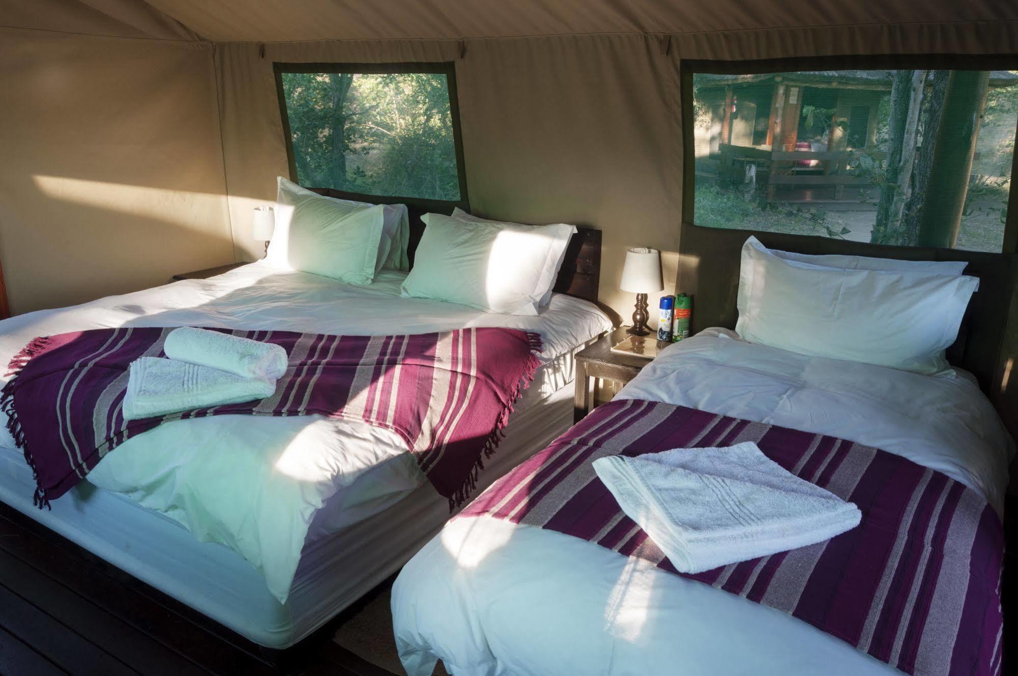 Shindzela Tented Camp Timbavati viltreservat Exteriör bild