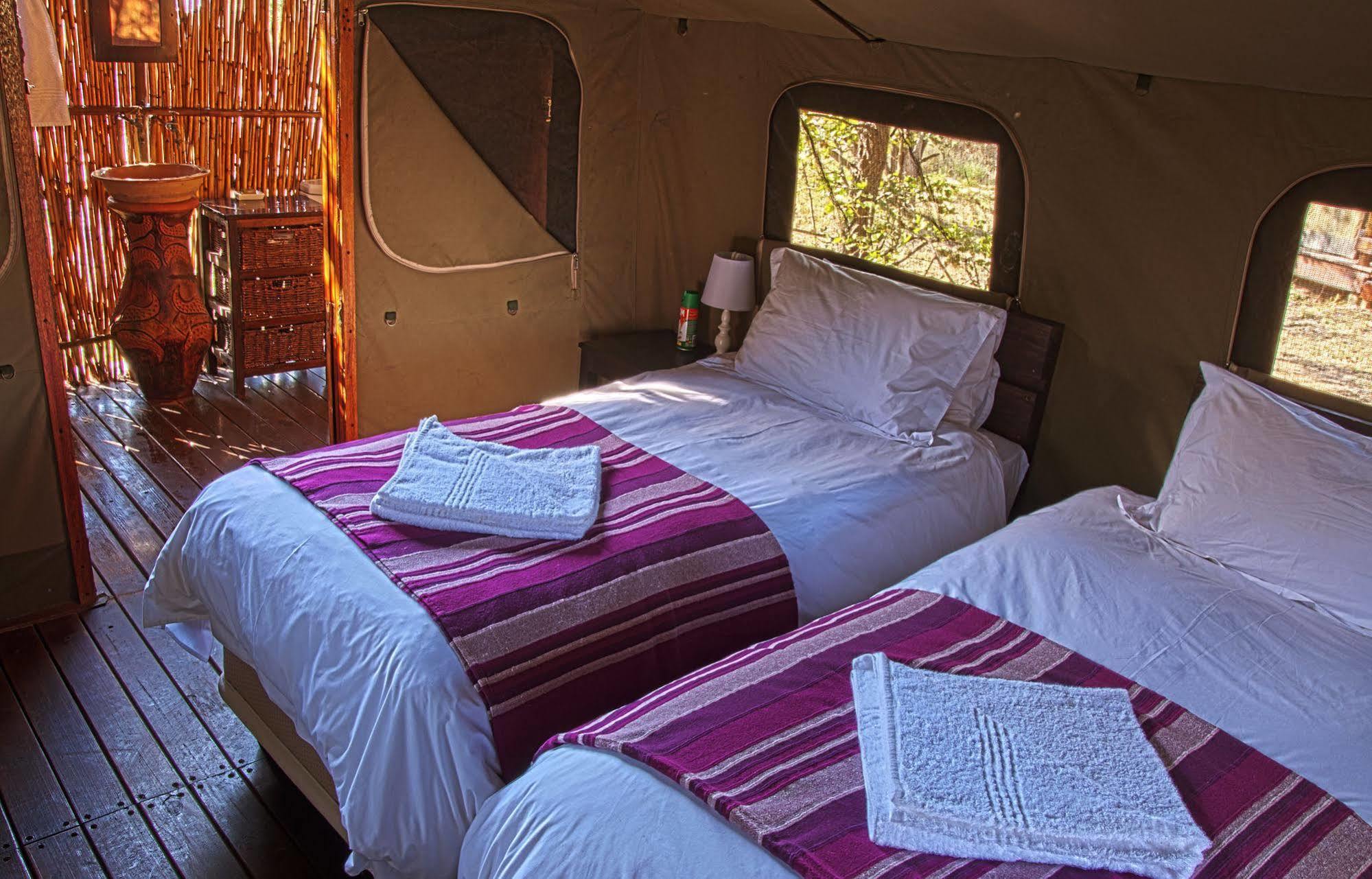 Shindzela Tented Camp Timbavati viltreservat Exteriör bild