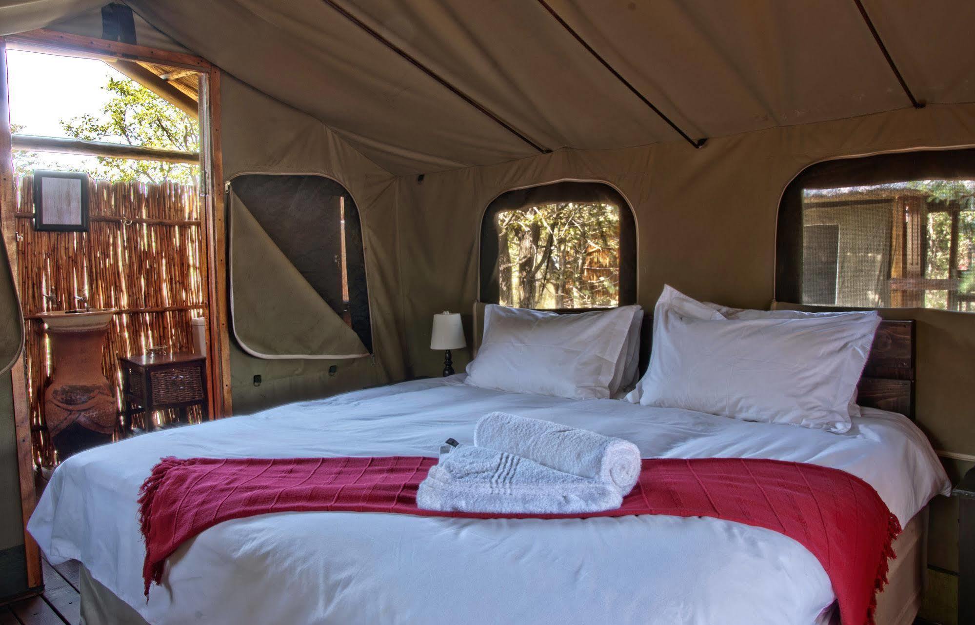 Shindzela Tented Camp Timbavati viltreservat Exteriör bild