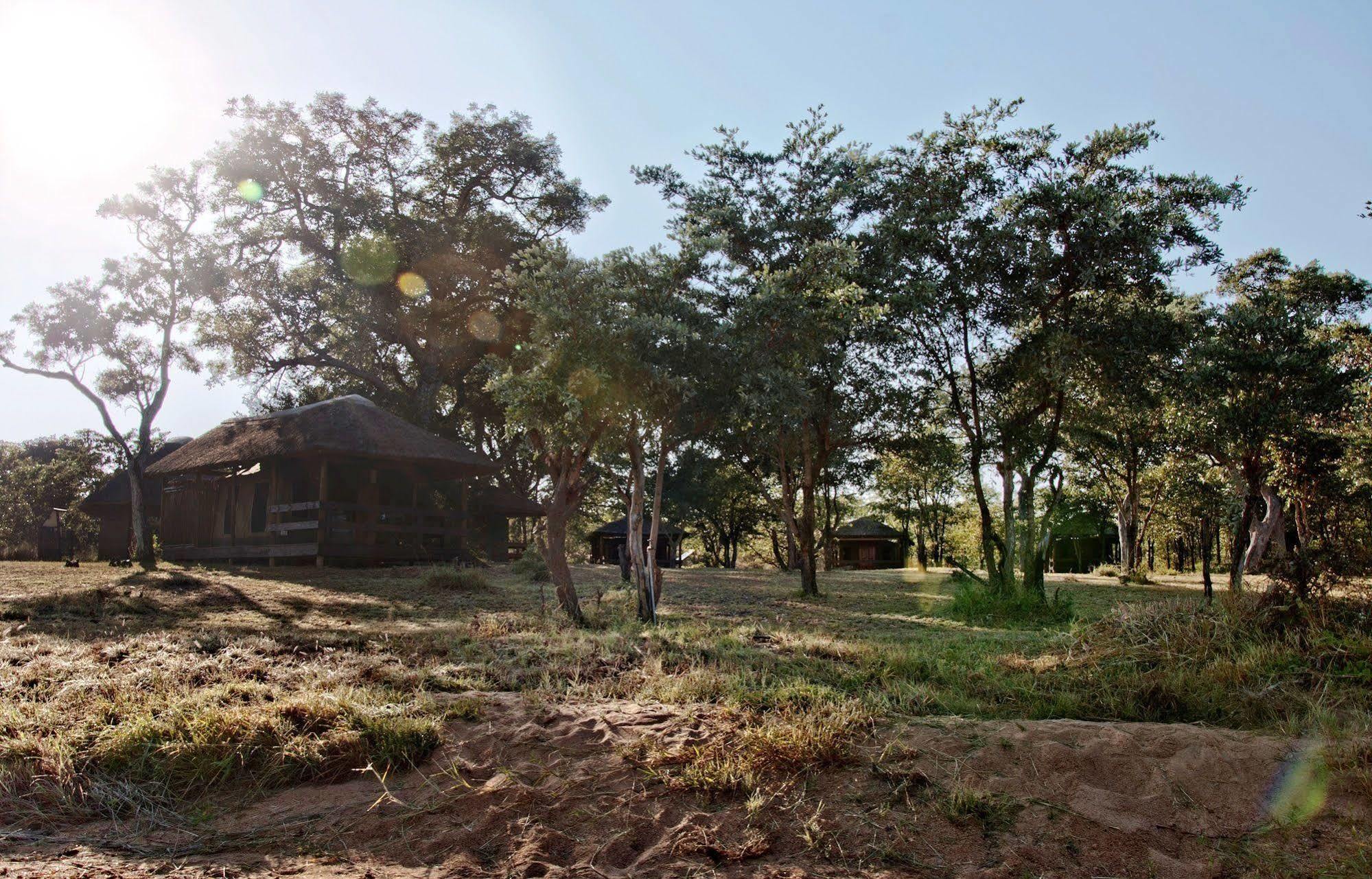 Shindzela Tented Camp Timbavati viltreservat Exteriör bild