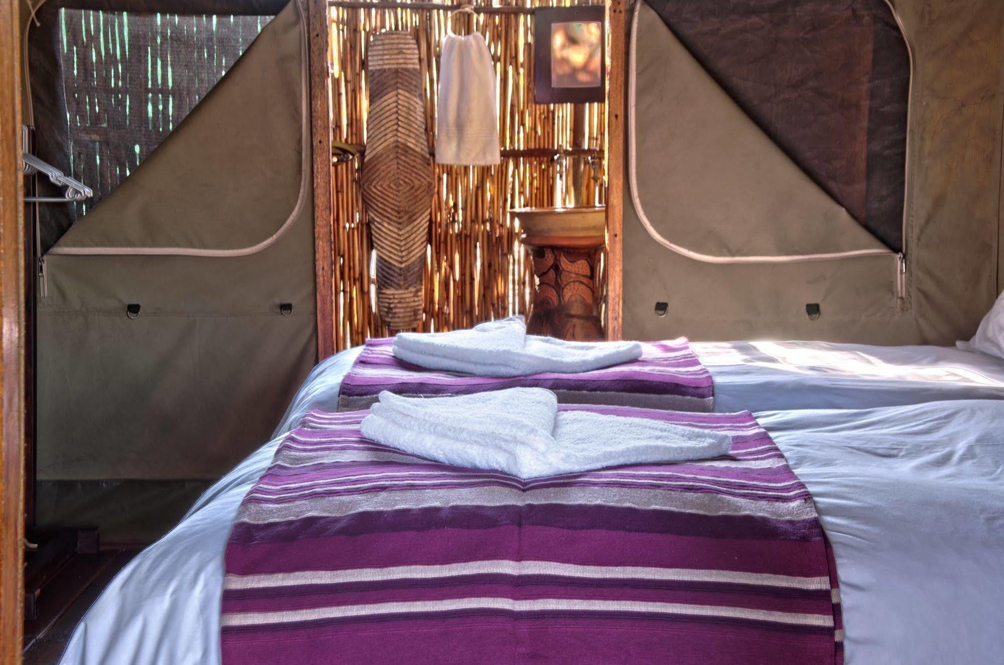 Shindzela Tented Camp Timbavati viltreservat Exteriör bild