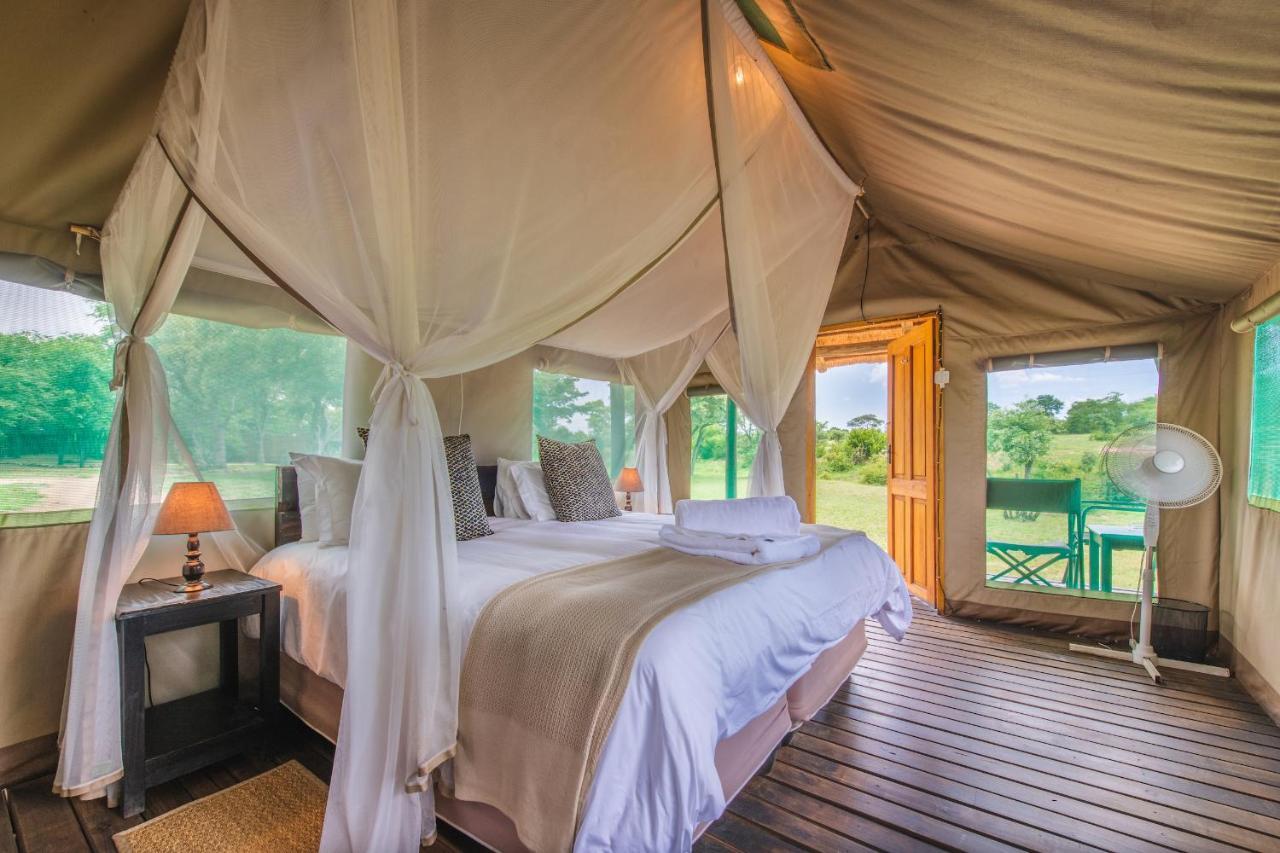 Shindzela Tented Camp Timbavati viltreservat Exteriör bild