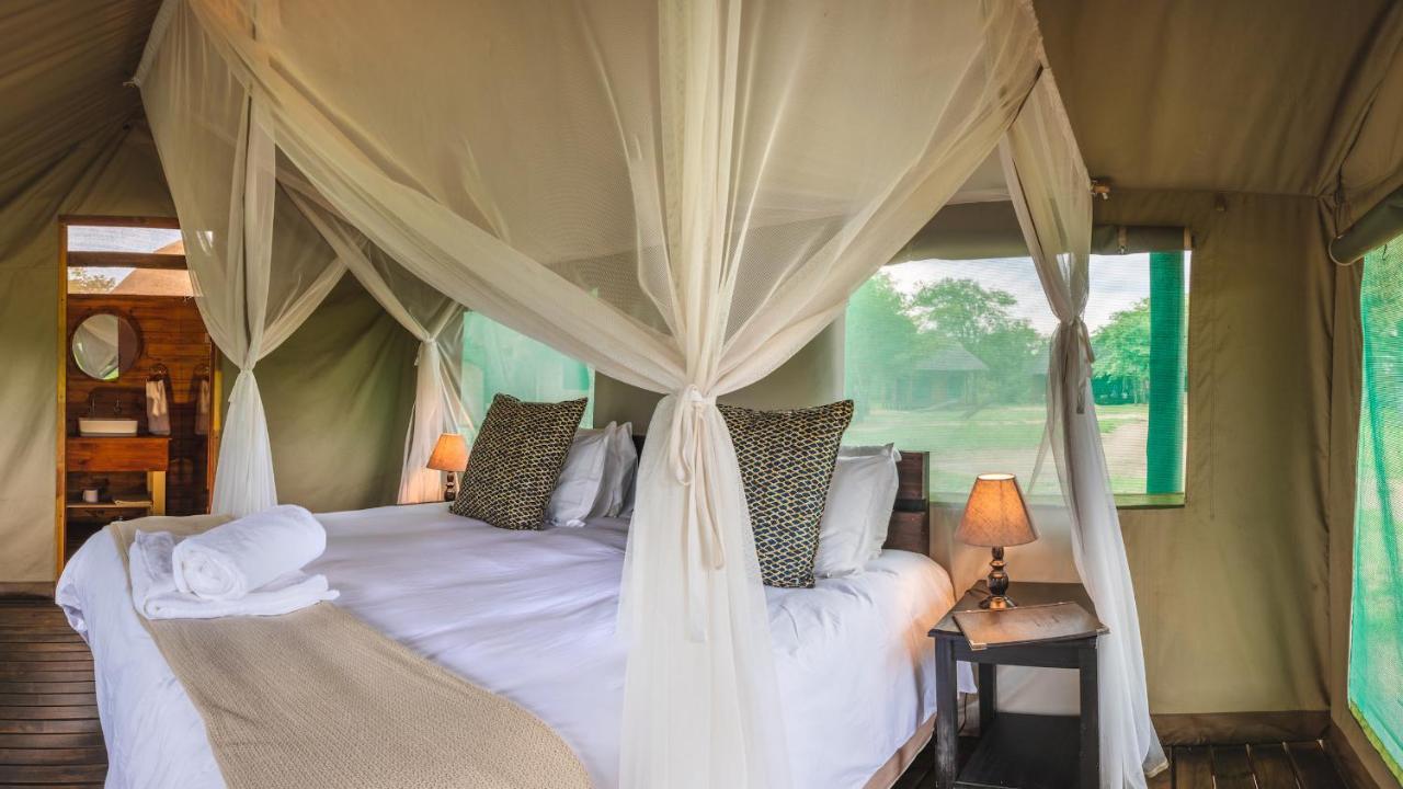 Shindzela Tented Camp Timbavati viltreservat Exteriör bild