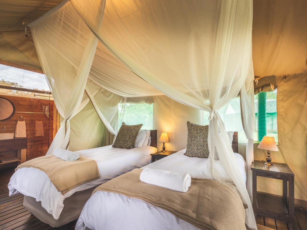 Shindzela Tented Camp Timbavati viltreservat Exteriör bild
