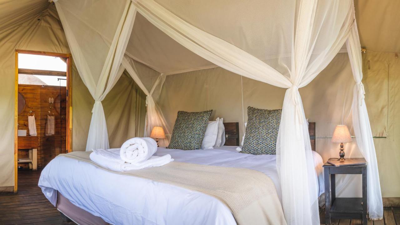 Shindzela Tented Camp Timbavati viltreservat Exteriör bild