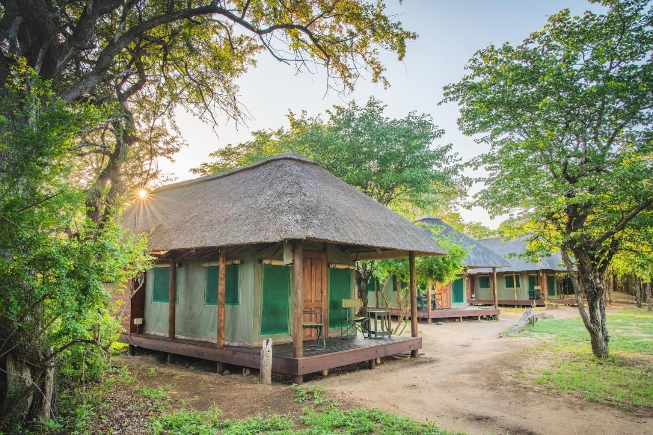 Shindzela Tented Camp Timbavati viltreservat Exteriör bild