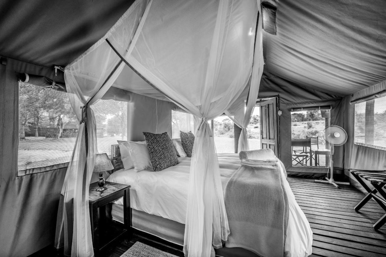 Shindzela Tented Camp Timbavati viltreservat Exteriör bild