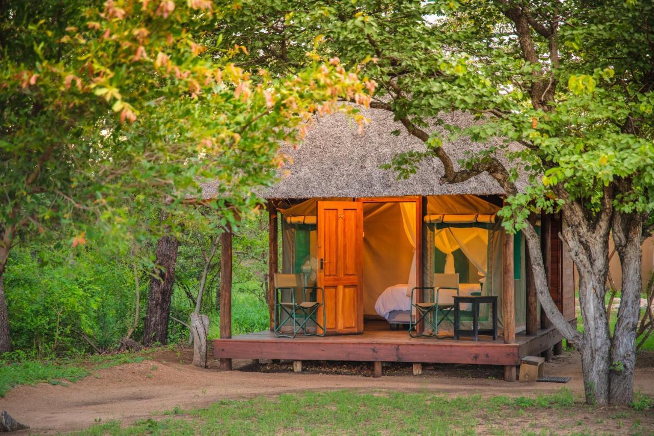 Shindzela Tented Camp Timbavati viltreservat Exteriör bild