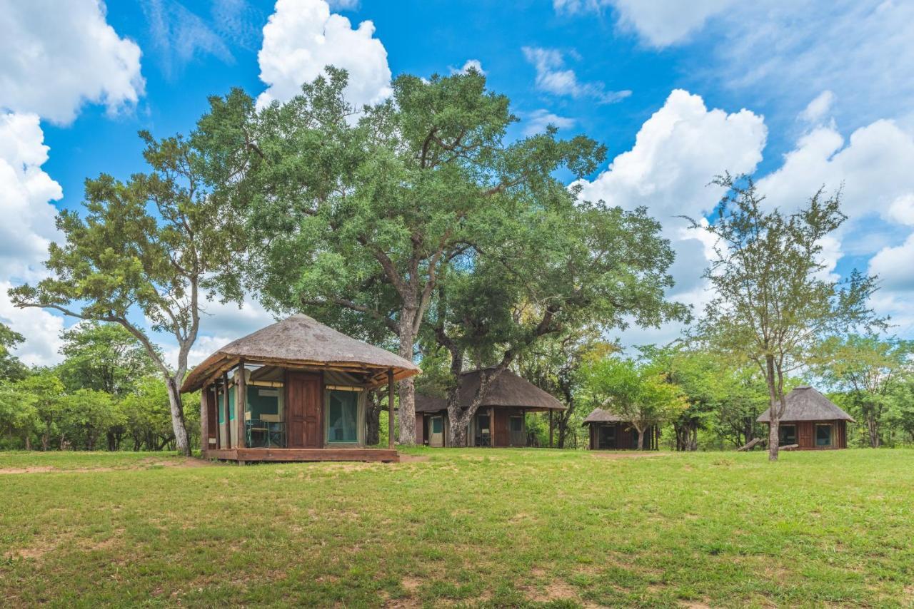 Shindzela Tented Camp Timbavati viltreservat Exteriör bild