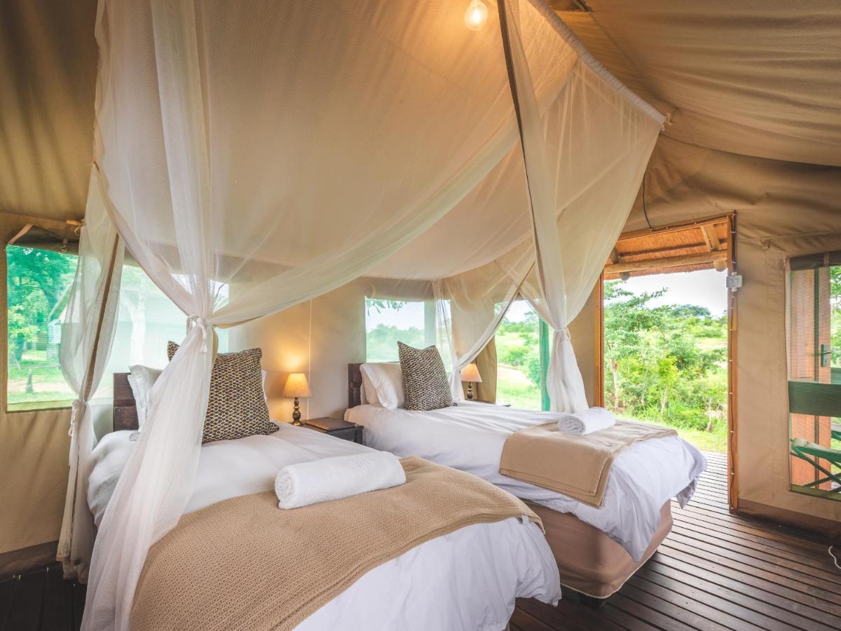 Shindzela Tented Camp Timbavati viltreservat Exteriör bild