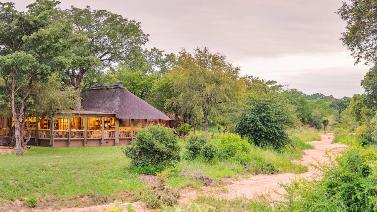 Shindzela Tented Camp Timbavati viltreservat Exteriör bild