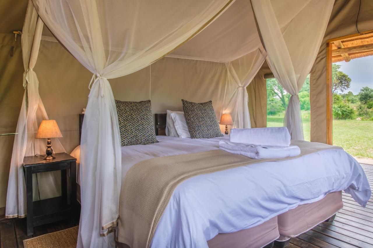 Shindzela Tented Camp Timbavati viltreservat Exteriör bild