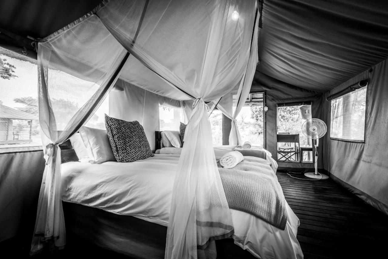 Shindzela Tented Camp Timbavati viltreservat Exteriör bild