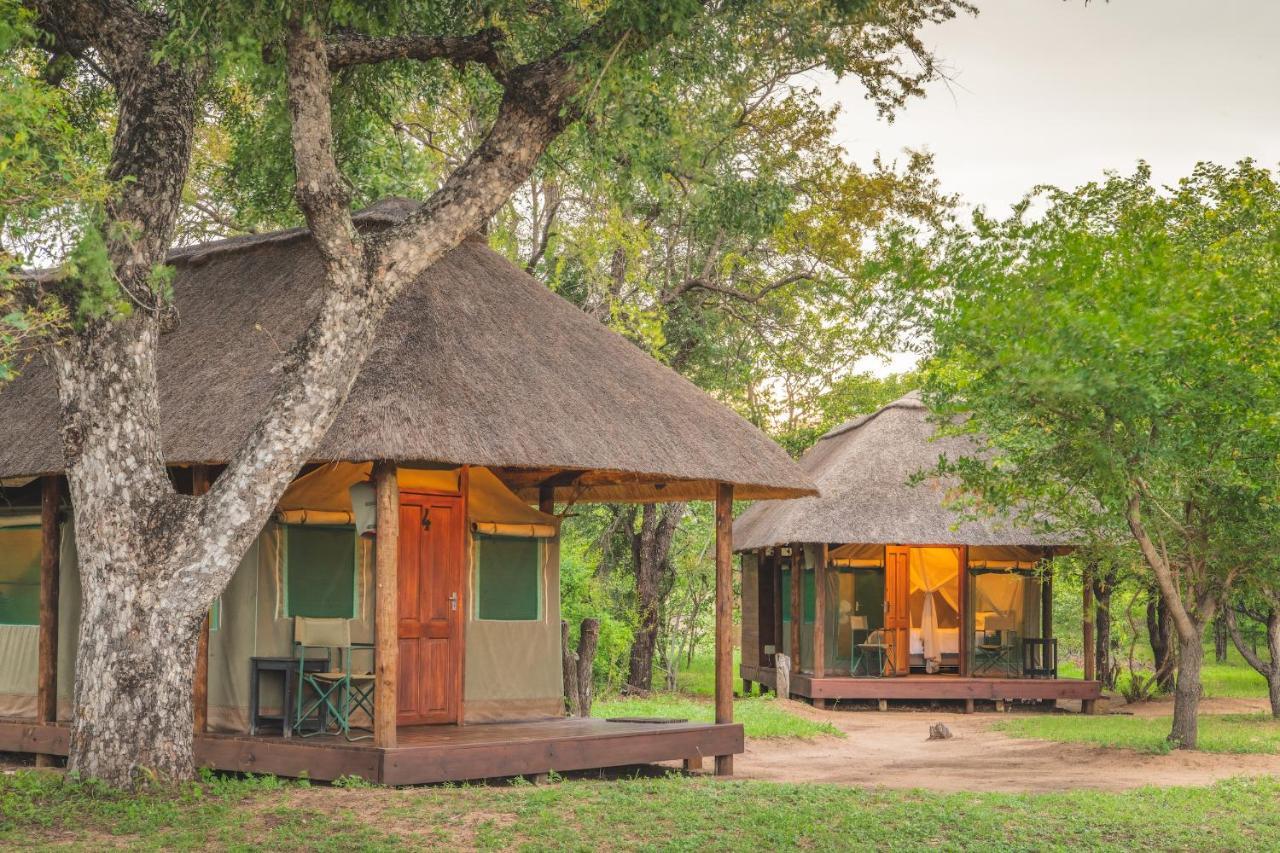 Shindzela Tented Camp Timbavati viltreservat Exteriör bild