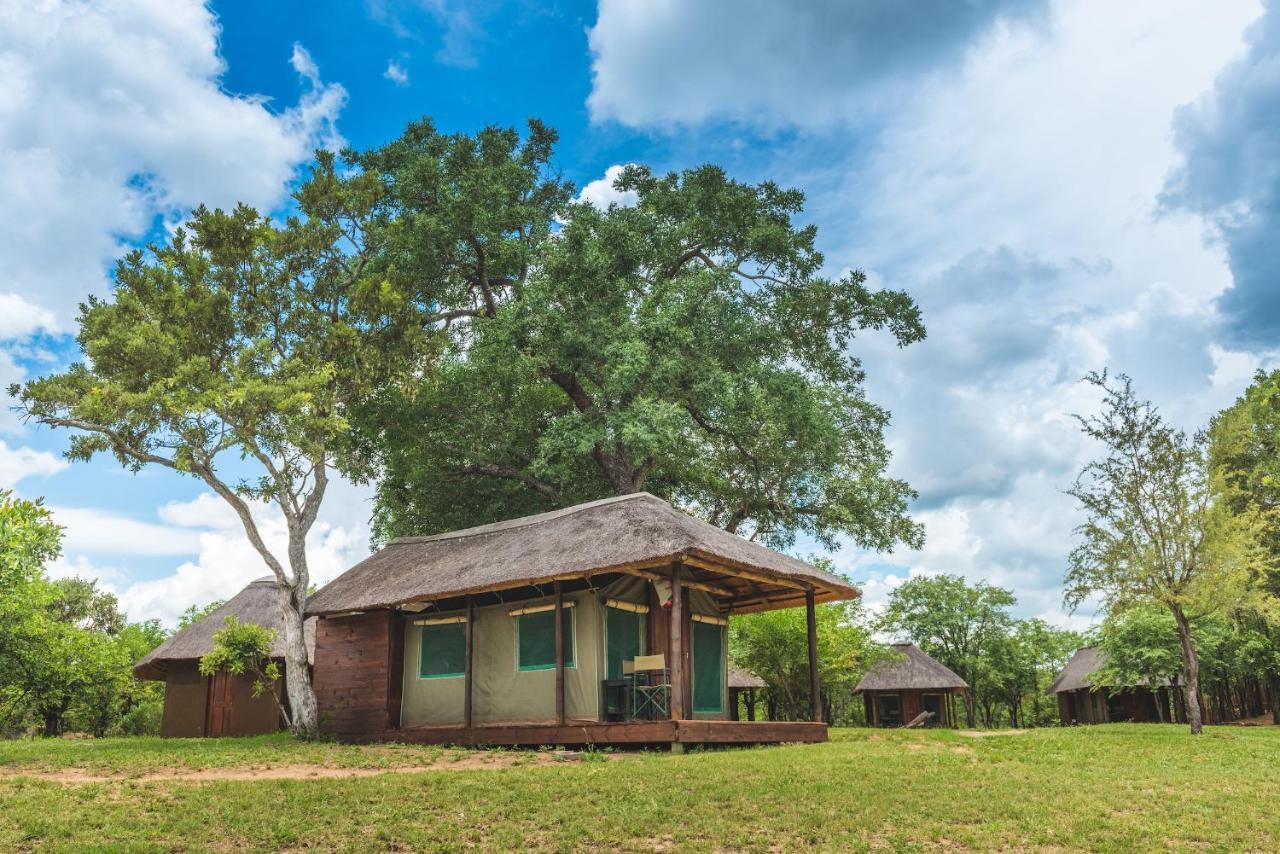 Shindzela Tented Camp Timbavati viltreservat Exteriör bild