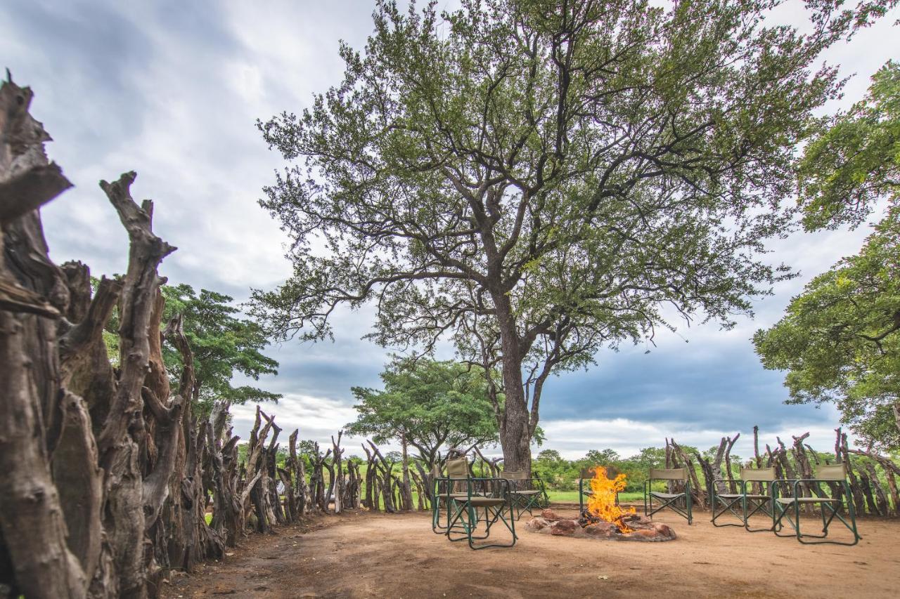 Shindzela Tented Camp Timbavati viltreservat Exteriör bild